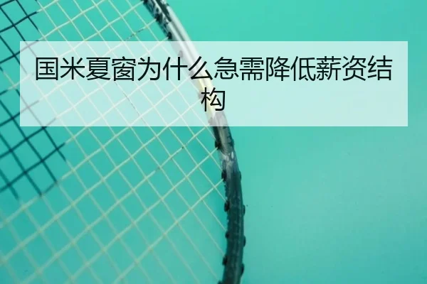 国米夏窗为什么急需降低薪资结构