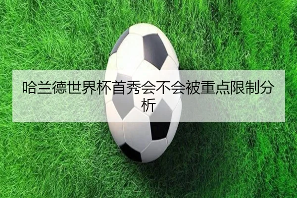 哈兰德世界杯首秀会不会被重点限制分析
