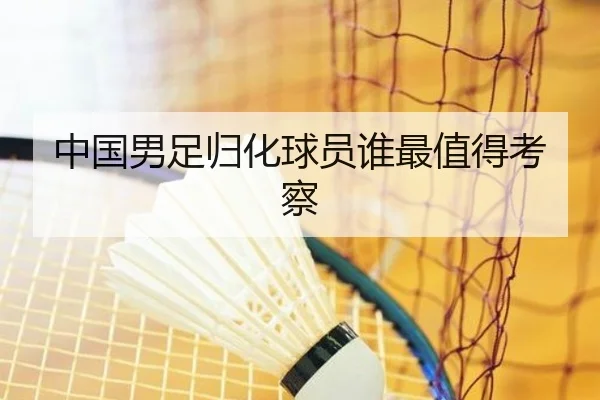 中国男足归化球员谁最值得考察